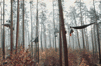 A foggy morning in Gründheide occupation. Dozens of platforms and hamocks hang high above the ground, so high that we can see over the shrubs deep into the nebolous forest. The day is also so early that we cant see any movement of people yet, those probably are still all at sleep, freezing from the cold cold night and trying to fall as sleep again only for a little bit more, since now the sun will save them soon enough.